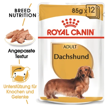 Royal Canin Dachshund Hundefutterverpackung für Erwachsene, mit einer Illustration eines Dackels, mit Text, der die Ernährungsbedürfnisse der Rasse und die Unterstützung der Gelenke hervorhebt.