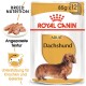 Royal Canin Dachshund Hundefutterverpackung für Erwachsene, mit einer Illustration eines Dackels, mit Text, der die Ernährungsbedürfnisse der Rasse und die Unterstützung der Gelenke hervorhebt.