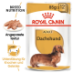 Royal Canin Dachshund Hundefutterverpackung für Erwachsene, mit einer Illustration eines Dackels, mit Text, der die Ernährungsbedürfnisse der Rasse und die Unterstützung der Gelenke hervorhebt.