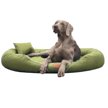 TIFFANY Couture - Orthopädisches Hundebett hellgrün 1,15 m, 20 cm, 90 cm