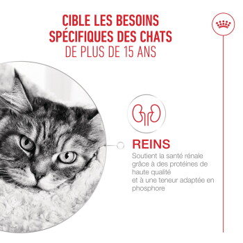 Gros plan du visage d'un chat, icône de rein et texte français indiquant les besoins des chats de plus de 15 ans (« REINS »).