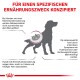 Hundillustration mit Nierengrafik, die die Ernährungsbedürfnisse und die Auswirkungen von Nierenfunktionsstörungen auf Symptome und Lebensqualität zeigt.