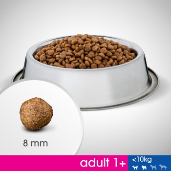 Miska dla psa ze stali nierdzewnej wypełniona brązowymi granulkami, zbliżenie na kawałek granulki o średnicy 8 mm oraz tekst wskazujący "adult 1+" i "<10kg".