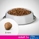 Miska dla psa ze stali nierdzewnej wypełniona brązowymi granulkami, zbliżenie na kawałek granulki o średnicy 8 mm oraz tekst wskazujący "adult 1+" i "<10kg".