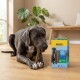 Grauer Hund, der Zahnpflegesticks neben einer MultiFit-Box mit der Aufschrift 'Dental Care Sticks' kaut.