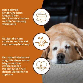 Fütterungsempfehlungstabelle für Hunde, die tägliche Futtermengen basierend auf Gewichtskategorien detailliert, mit einem braunen Hund, der teilweise sichtbar ist.