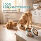 Haustierfutterbehälter auf einem Tisch mit Text: "Verschiedene Größen & Designs" und "Bitte wählen Sie das richtige Modell."