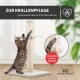 Getigerte Katze kratzt an einem beigen Sisal-Kratzbaum mit hängendem Ball, deutscher Text über Nagelpflege und extra Spielspaß.
