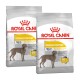 Zwei Beutel Royal Canin Dermacomfort Hundefutter, beschriftet mit "MAXI" und "Reduced Allergen Formula," mit einer Hundesilhouette und Nährwertangaben.