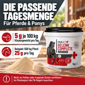 Ein schöner grauer Hengst steht zwischen lebhaften lila Blumen auf einer üppig grünen Wiese, mit einem weichgezeichneten Hintergrund.
