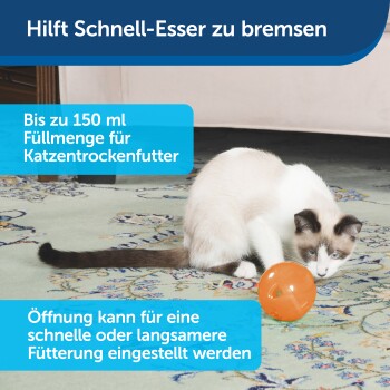 Eine verspielte Katze spielt mit einem orangefarbenen Futterspielzeug auf einem gemusterten Teppich. Der Text erwähnt die einstellbare Fressgeschwindigkeit und ein Volumen von 150 ml.
