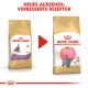 Zwei Tüten Royal Canin Kittenfutter für Britisch Kurzhaar, mit neuem Design und verbesserter Rezeptur. Text: "NEUES AUSSEHEN, VERBESSERTE REZEPTUR."