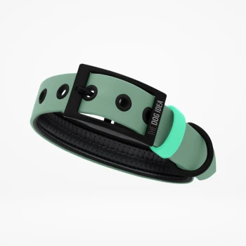 Ein mintgrüner Hundehalsband mit einer schwarzen Schnalle und einem Etikett mit der Aufschrift 'THE DOG IDEA', mit Löchern zur Anpassung.