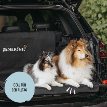 Zwei Hunde sitzen auf einer schwarzen Autositzabdeckung im Rücksitz eines Autos, mit dem Text 'Rudel König' und einem blauen Kreis, der 'Ideal für den Alltag' besagt.