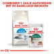 Royal Canin verpakking voor "Home Life Indoor" droogvoer voor katten 7+ en "Instinctive" natvoer, met een afbeelding van een kat en Nederlandse tekst.