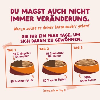 Infografik zum Futterschritt für Katzen (Deutsch): drei Schalen mit Beschriftung Tag 1–3, zeigt 50% altes/50% neues Futter → 100% neues Futter
