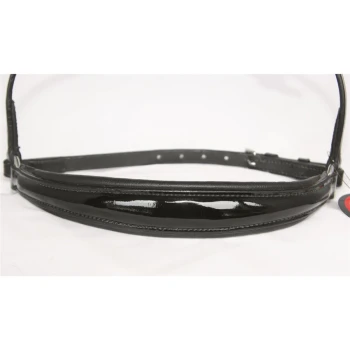 Schwarzes, glänzendes Haustierhalsband mit glatter Oberfläche, mit verstellbaren Löchern und einem angehängten Etikett.