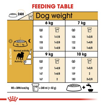 Feeding table for dogs showing recommended daily food amounts based on weight (6-10 kg) and activity level, with measurements in grams and cups.