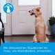 Golden Retriever sitzt an einer Tür und sieht ängstlich aus. Text: "Bei stressreichen Situationen im Haus, wie Alleinbleiben, anwenden."