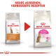 Protein Exigent 10 kg