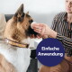 Person hält ein Wattepad an die Schnauze eines großen braun-weißen Hundes mit genietetem Lederhalsband; Schriftzug „Einfache Anwendung“