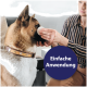 Person hält ein Wattepad an die Schnauze eines großen braun-weißen Hundes mit genietetem Lederhalsband; Schriftzug „Einfache Anwendung“