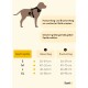 Hundegeschirr beige L
