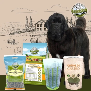 Ein großer schwarzer Hund steht neben verschiedenen Haustierfutterprodukten, darunter BELLEFOR-Leckerlis und SHIIMUN GASTRO, vor einer Farmkulisse.