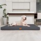 Ein weißer Hund, der auf einem grauen Haustierbett in einer modernen Küche mit minimalistischer Gestaltung und grünen Pflanzen im Hintergrund entspannt.