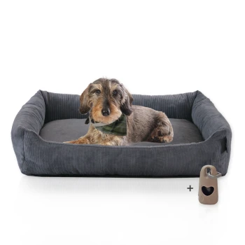 Ein gemütliches graues Hundebett mit einem Dackel, der ein grünes Halstuch trägt und bequem darin ruht, begleitet von einem herzförmigen Anhänger.