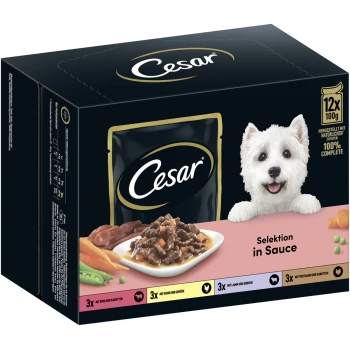 Cesar-Hundefutterpackung mit einem weißen Hund, mit einem Teller Fleisch in Sauce und Gemüse. Der Text lautet "Selektion in Sauce" und "12x 100g".