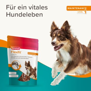 Ein lebhafter Hund springt neben einer bunten Beaphar Flexifit Snacks-Packung mit der Aufschrift "Wartungsstufe 1", die ein gesundes Hundeleben fördert.