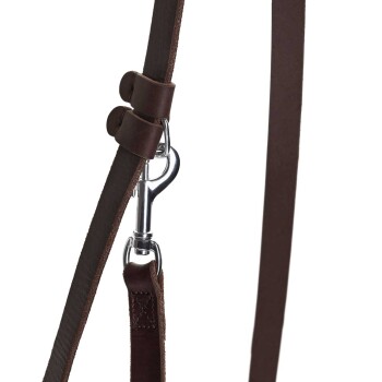 Braune Lederhundeleine mit einem silbernen Metallclip und zwei Leder-Schlaufen zur Anpassung.