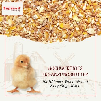 Kükenfutter mit Getreide und einem Küken, deutscher Text über Futter für Hühner- und Wachtelküken, geeignet für 0-6 Wochen, hergestellt in Deutschland.