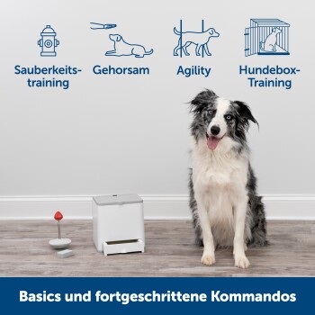 Ein glücklicher Border Collie sitzt neben Trainingsspielzeugen auf einem Holzboden, mit Text für Trainingskategorien und Befehle darüber.