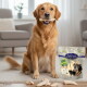 Golden Retriever auf einem Teppich mit Kaustücken und einer Lyra Pet-Tüte mit der Aufschrift 'Lyra Pet' und 'Nature Power'.