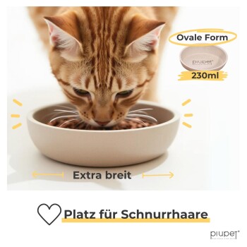 Nahaufnahme einer orangefarbenen getigerten Katze, die aus einer beigen Schüssel mit der Aufschrift "230ml" und "Extra breit" frisst, mit "Platz für Schnurrhaare" darunter.