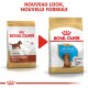 Image de deux sacs de nourriture pour chiens Royal Canin côte à côte, étiquetés "Junior Dachshund" et "Puppy Dachshund", avec une flèche rouge indiquant une nouvelle formule.