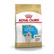 Sac de nourriture pour chiens Royal Canin Puppy Golden Retriever, avec un chiot golden retriever sur le devant, étiqueté pour les chiots jusqu'à 15 mois.