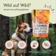 Ein glücklicher Hund sitzt in einem Wald neben einer bunten FAVLY Haustierfutterverpackung mit der Aufschrift "Wild," die hypoallergene, getreidefreie Snacks bewirbt.