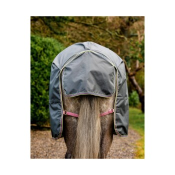 Ein Pferd mit einer grauen Schutzhaube mit buntem Rand, von hinten betrachtet, das seinen langen Schwanz und eine natürliche Außenumgebung zeigt.