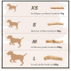 Hundekaugröße Leitfaden: XS (Welpen/kleine Hunde bis 7kg), S (bis 12kg), M (bis 20kg), L (über 20kg).