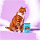 Orange-weiße Katze leckt sich die Lippen neben einem blauen Pets Deli Classic Katzenfutterbeutel auf lila Hintergrund.