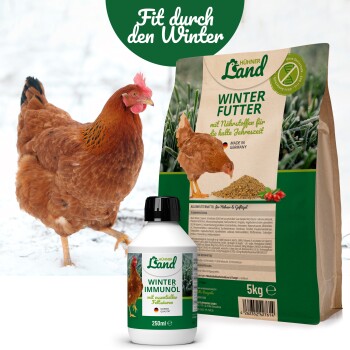 Ein braunes Huhn im Schnee neben einem 5 kg "HühnerLand Winter Futter" Sack und einer 250 ml "Winter Immunol" Flasche, beide für die Winterpflege.