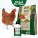 Ein braunes Huhn im Schnee neben einem 5 kg "HühnerLand Winter Futter" Sack und einer 250 ml "Winter Immunol" Flasche, beide für die Winterpflege.