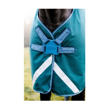 Eine Nahaufnahme eines Pferdes, das eine türkisfarbene Amigo-Decke mit weißen reflektierenden Streifen und blauen Horseware Ireland-Schnallen trägt.
