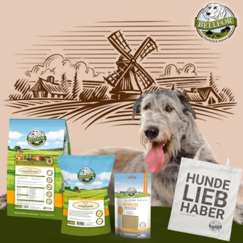 Irischer Wolfshund Futter Set
