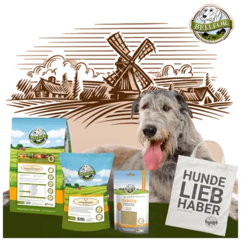 Ein großer grauer Hund sitzt neben Bellfor Hundefuttertaschen mit einer Windmühle und ländlicher Kulisse im Hintergrund; eine Tragetasche sagt "HUNDE LIEB HABER."