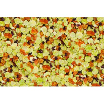 Wellness Flakes 650 g aux légumes-racines