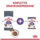 Royal Canin Appetite Control Katzenfutterverpackung mit einer Grafik, die Trockenfutter und Nassfutter zeigt, beschriftet mit "Komplettes Ernährungsprogramm."